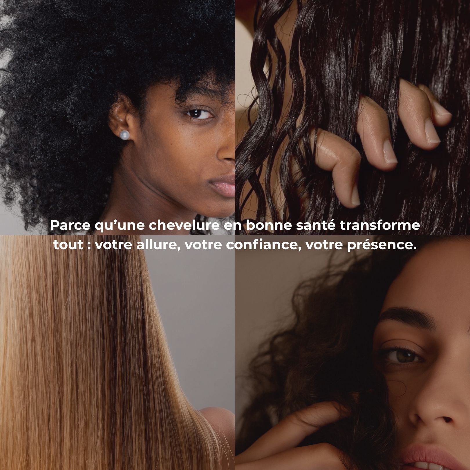 Le Rolly - Brosse massante applicatrice de soins - Roilon